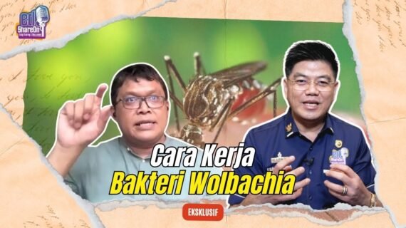 Begini Cara Kerja Bakteri Wolbachia di Tubuh Nyamuk Aedes Aegypti