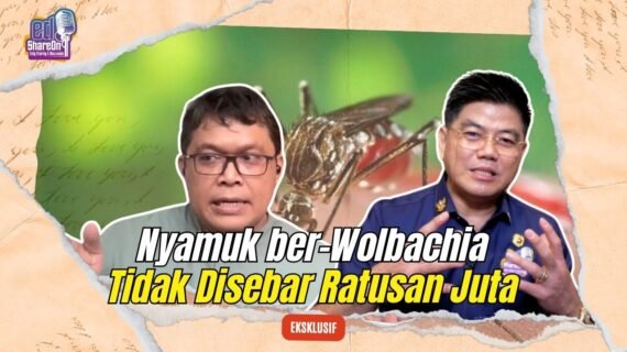 Peneliti UGM Sebut Nyamuk ber-Wolbachia Tidak Disebar Ratusan Juta Ekor