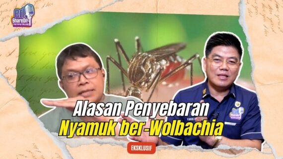 Pengendalian Penyakit Demam Berdarah, Nyamuk ber-Wolbachia Disebut Solusi Efektif
