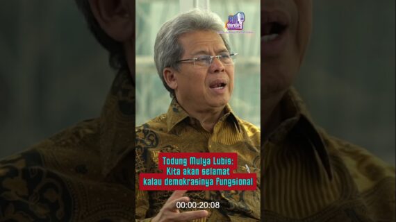 Todung Mulya Lubis: Kita akan selamat kalau demokrasinya fungsional
