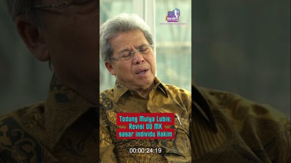Todung Mulya Lubis: Revisi UU MK sasar individu hakim