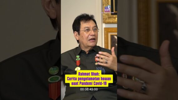 Rahmat Shah: Cerita penyelamatan hewan saat Pandemi Covid-19
