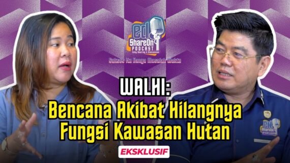 Bencana Banjir di Aceh, Sumut, dan Sumbar, WALHI: Akibat Hilangnya Fungsi Kawasan Hutan